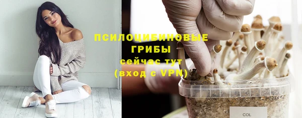 кокс Баксан