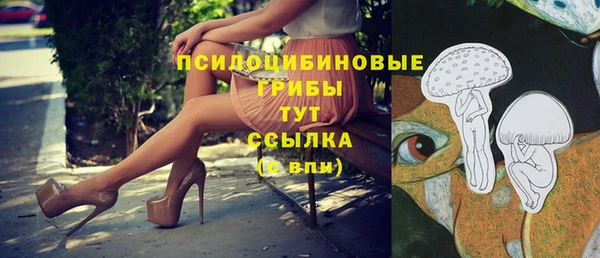 apvp Балабаново