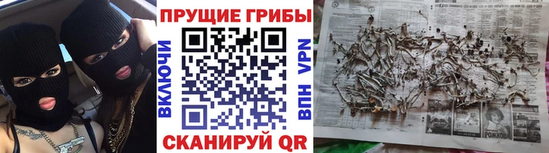 Галлюциногенные грибы Magic Shrooms Белая Холуница