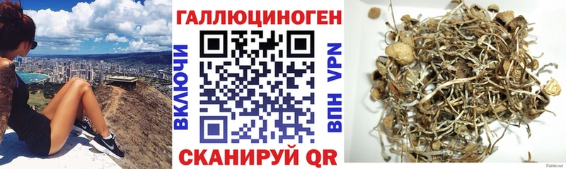 Псилоцибиновые грибы мухоморы  Белая Холуница 